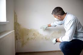 Best Mold Removal for HVAC Installations  in USA